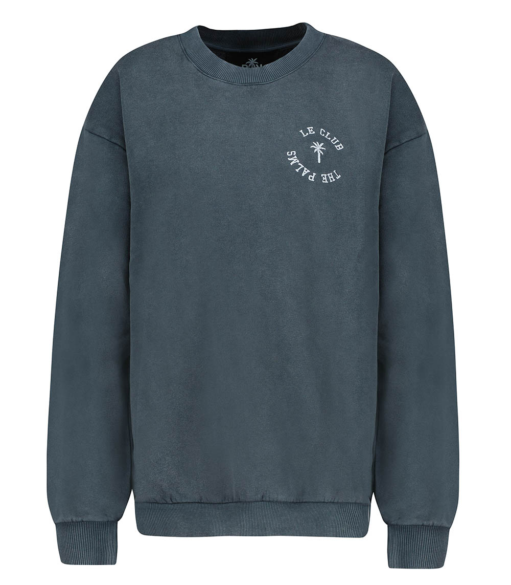 Devi Grey RAIINE sweatshirt