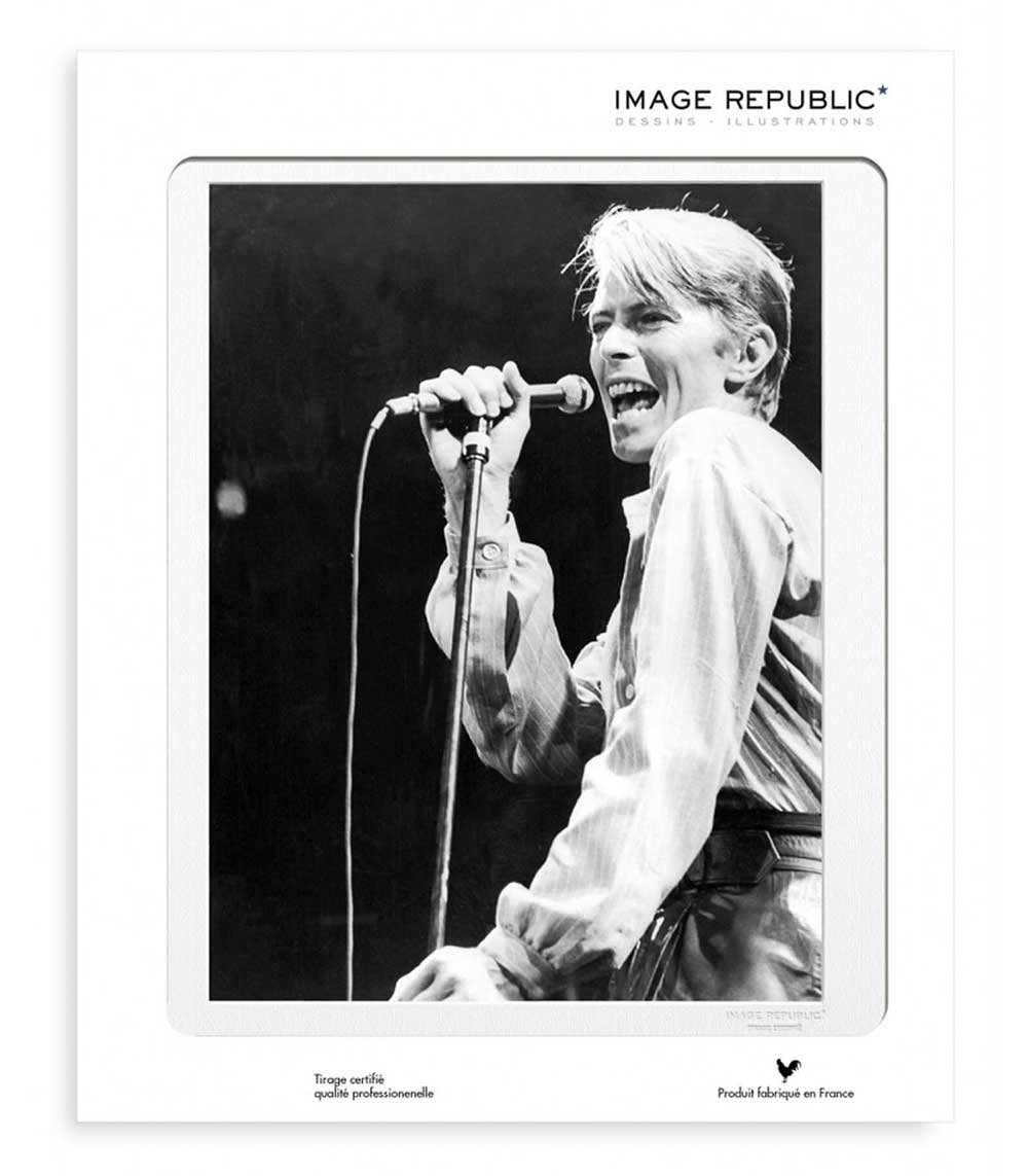 Affiche La Galerie Bowie 40 x 50 cm Image Republic