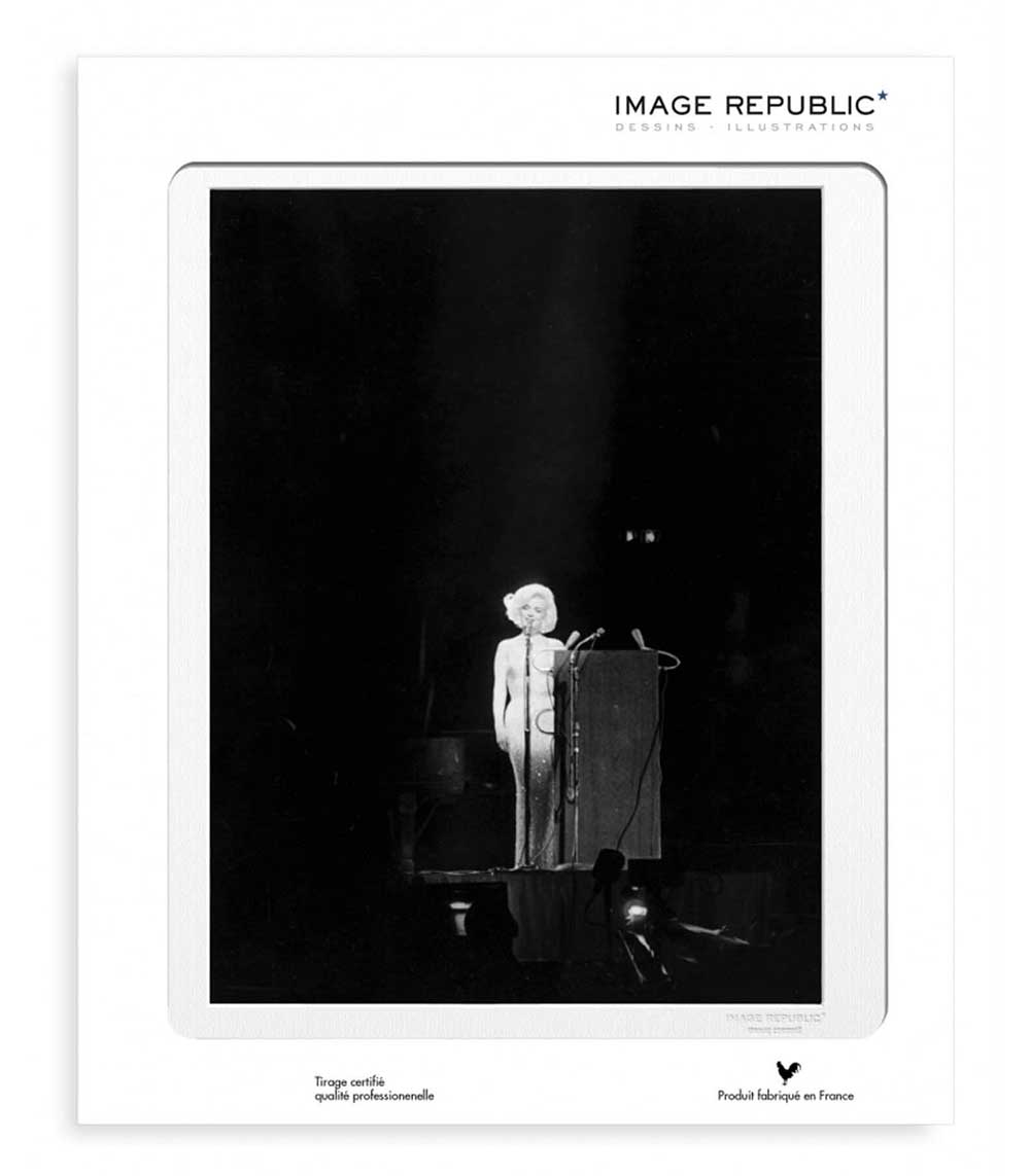 Affiche La Galerie Marilyn Monroe HB 40 x 50 cm Image Republic