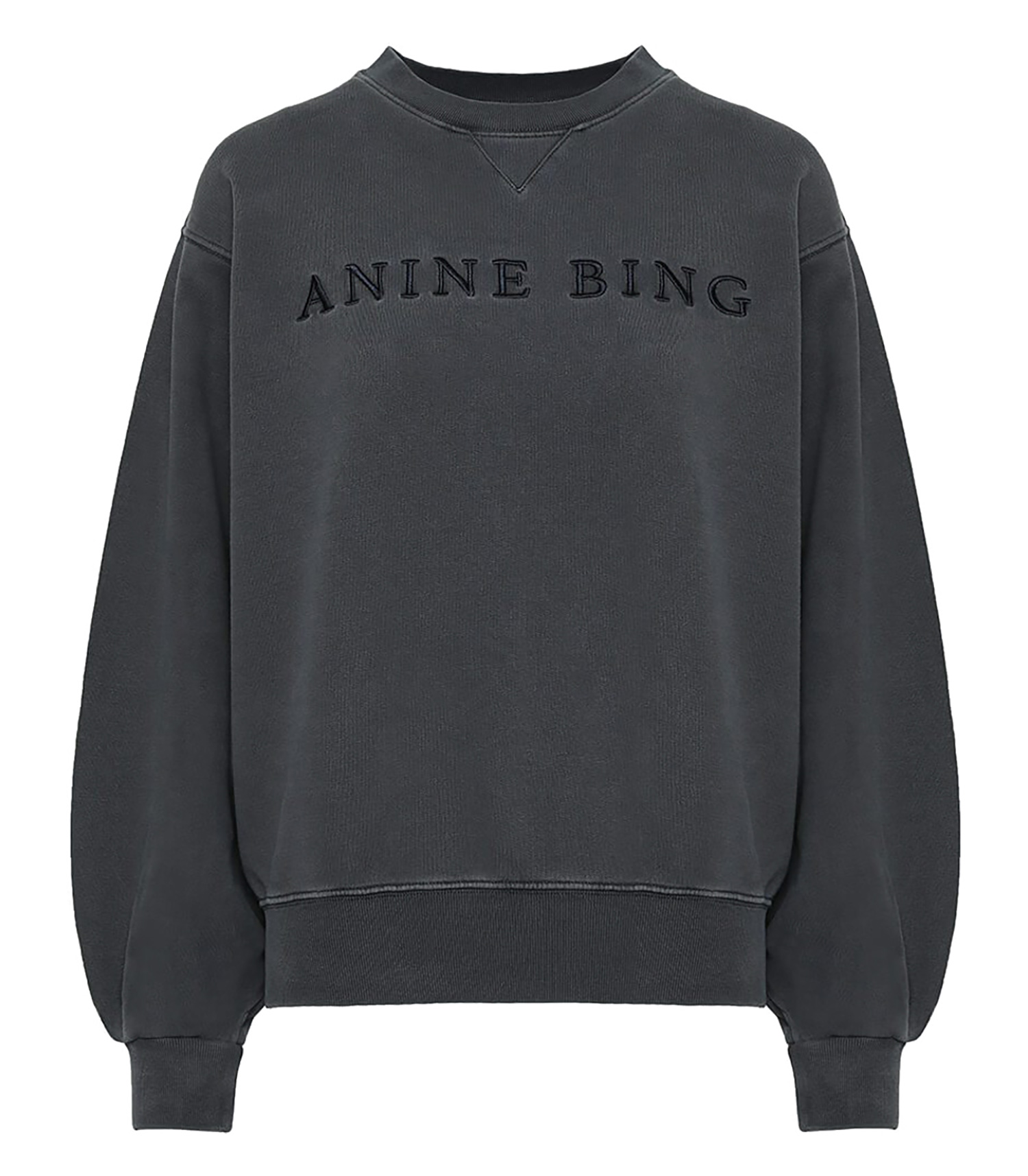 anine bing sweat