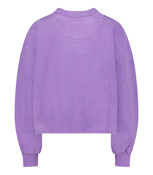 Sweat-shirt Porter Soul Purple Newtone
