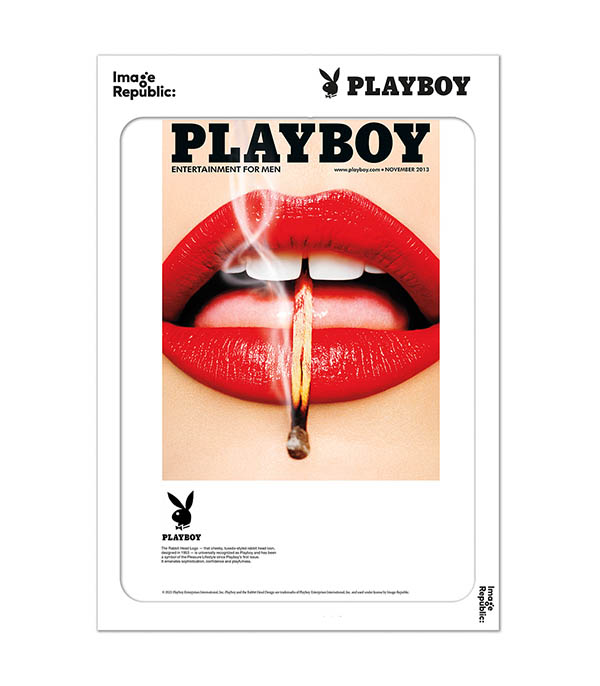 Affiche Playboy Couverture Novembre 2013 38 x 56cm Image Republic
