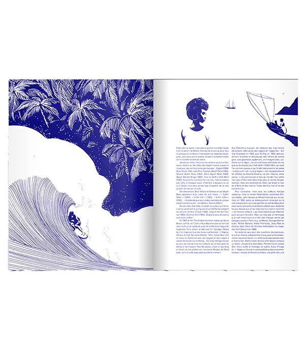 Livre Surf  Albin Michel