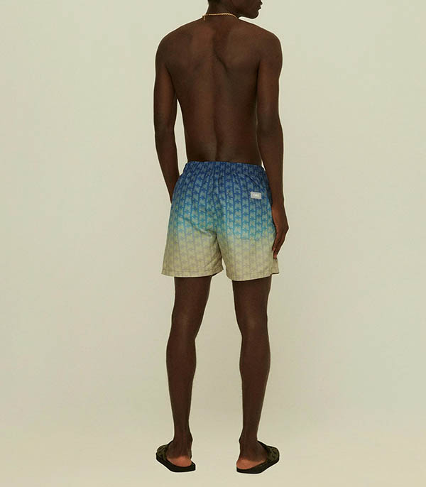 Men's Polar Sky swim shorts OAS