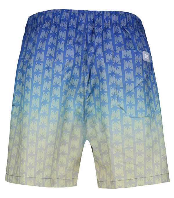 Men's Polar Sky swim shorts OAS