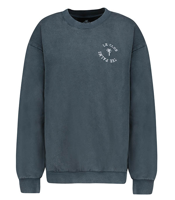 Devi Grey RAIINE sweatshirt