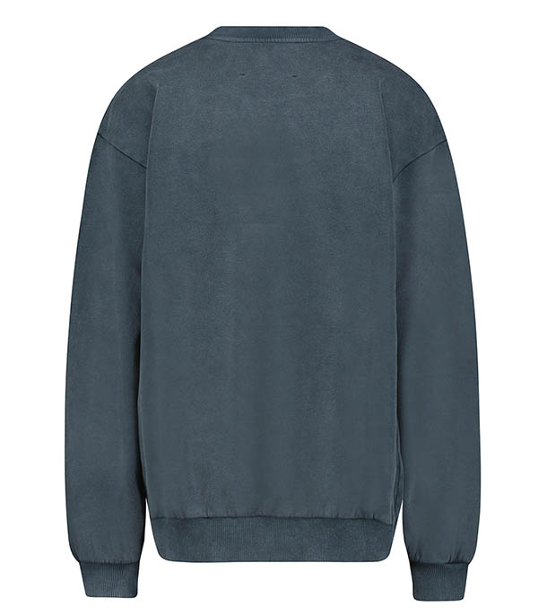 Devi Grey RAIINE sweatshirt