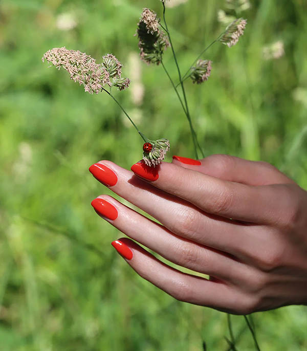 Nail polish Green Red Coral Manucurist