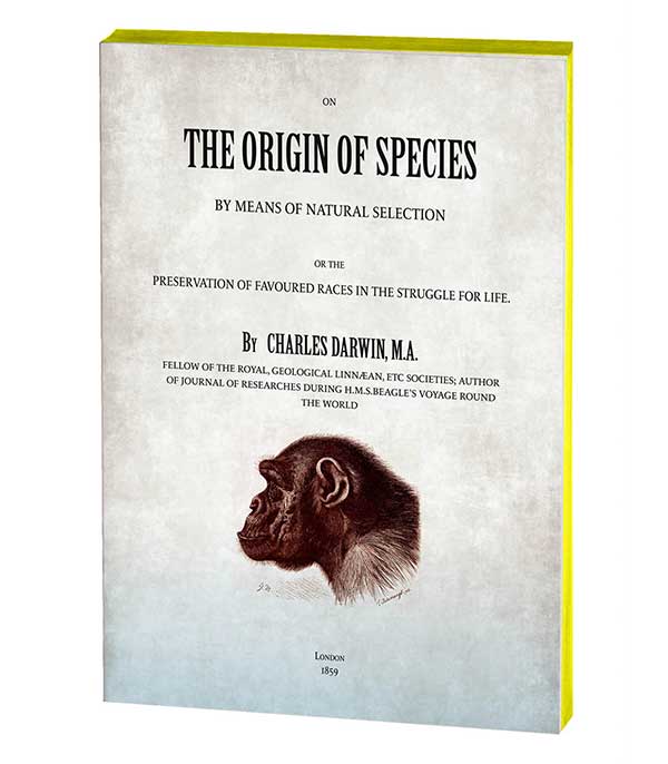 Mute Book L'Origine des espèces Slow Design