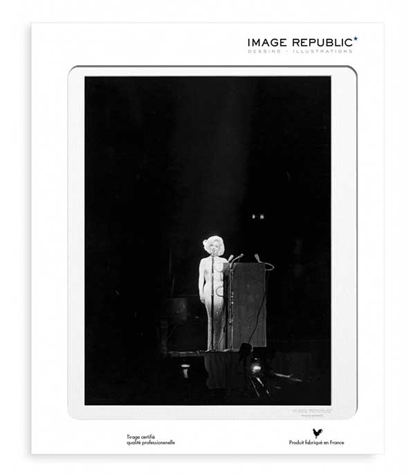 Affiche La Galerie Marilyn Monroe HB 40 x 50 cm Image Republic