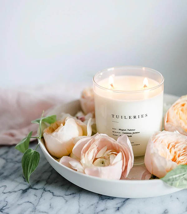 Escapist Tuileries scented plant candle Brooklyn Candle Studio