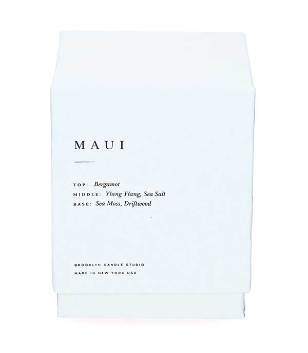Escapist Maui scented plant candle Brooklyn Candle Studio