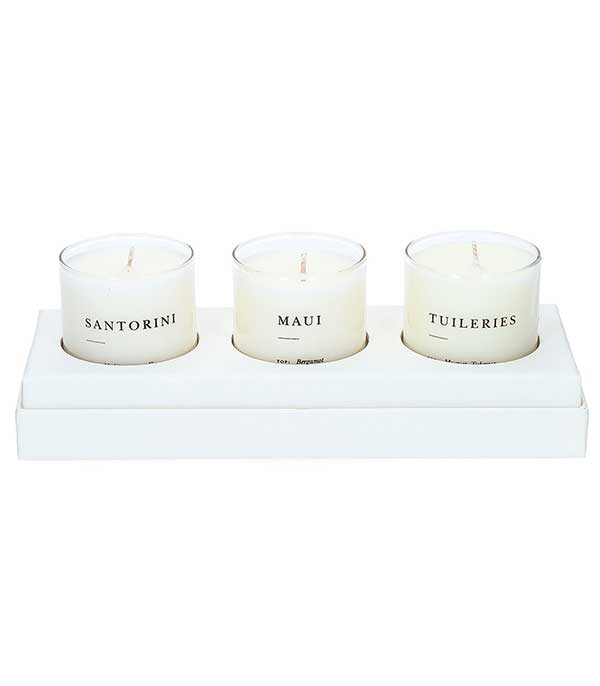 Set of 3 Escapist fresh and floral scented plant candles Brooklyn Candle Studio